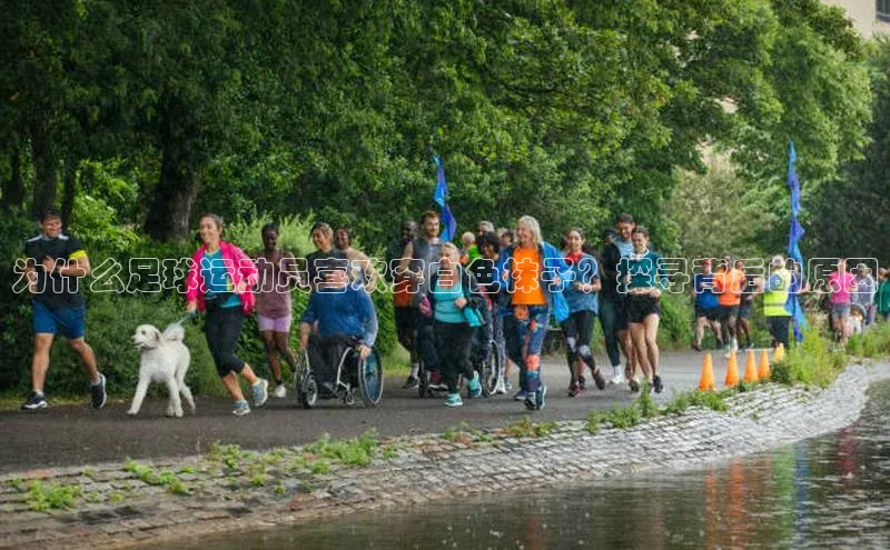 EON4官网百度识图