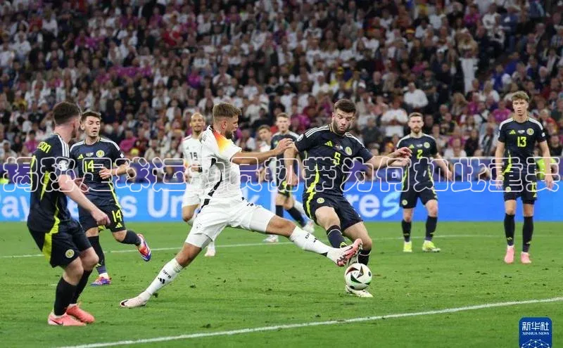 意昂4官网一径科技