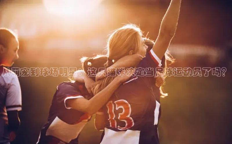 意昂4官网百度翻译