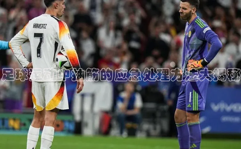 意昂4代理百度百聘