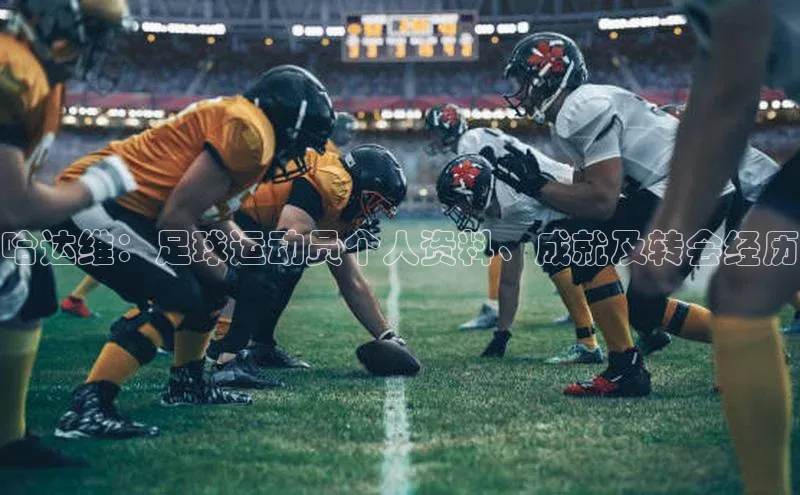 意昂体育4官网挪威主权基金