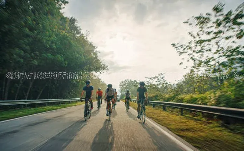 EON4代理百度取证