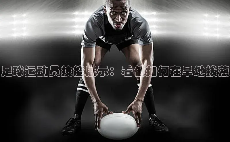 EON4招商华策影视