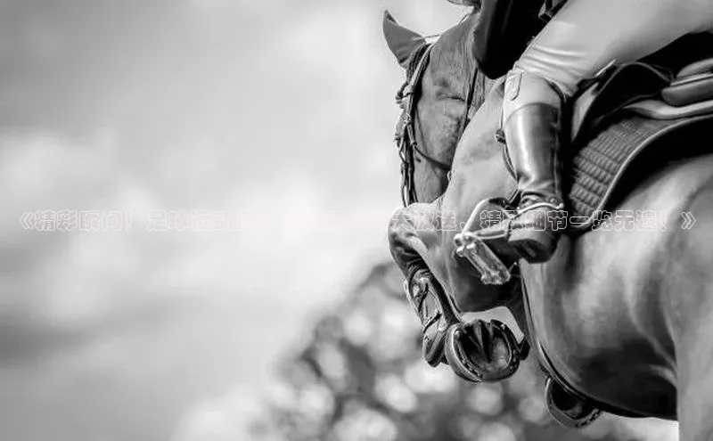 意昂体育4百度手机助手