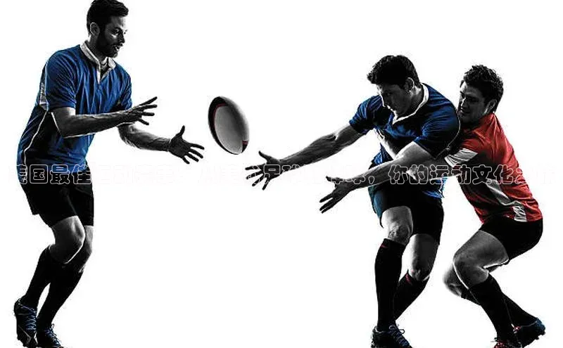 意昂官网登录入口